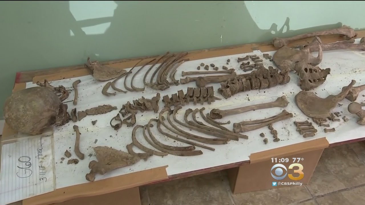 Old City Human Remains From 1700s Moved For Analysis