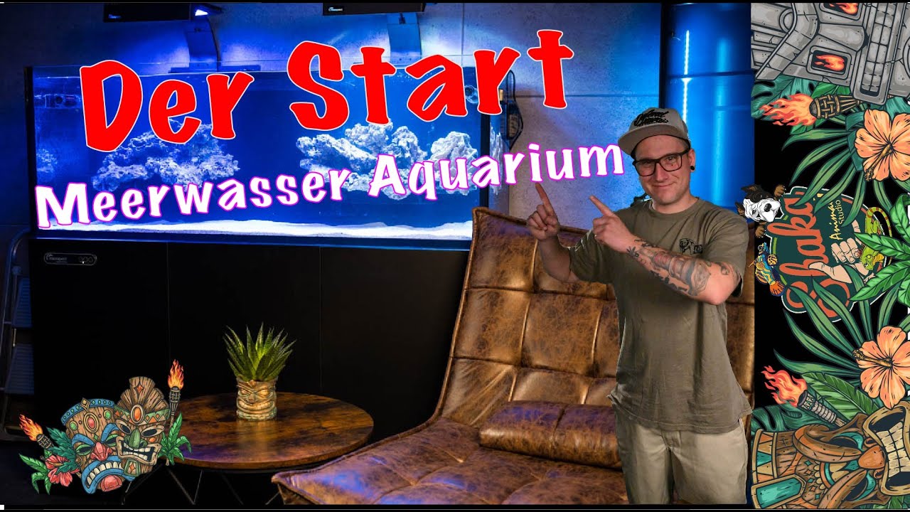Wie Starte ich meine Meerwasser Aquarium Einlaufphase, Algenphase, Cleaning Crew und erste Korallen
