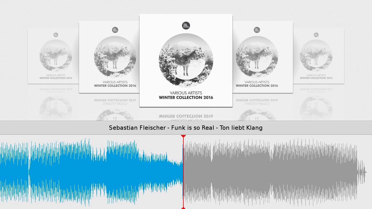 Sebastian Fleischer - Funk is so Real - Ton liebt Klang