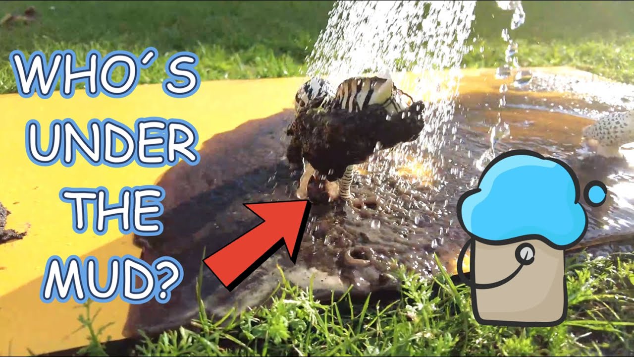"WASHING MUDDY TOY ANIMALS | LEARN ANIMAL NAMES FOR KIDS!"