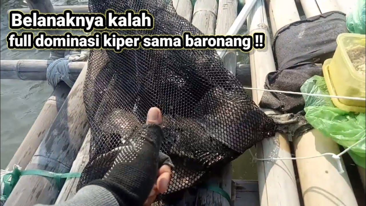 Rumpon ini rucahnya komplit jerit !! rumpon pak Tus yang kali 2025 UPDATE