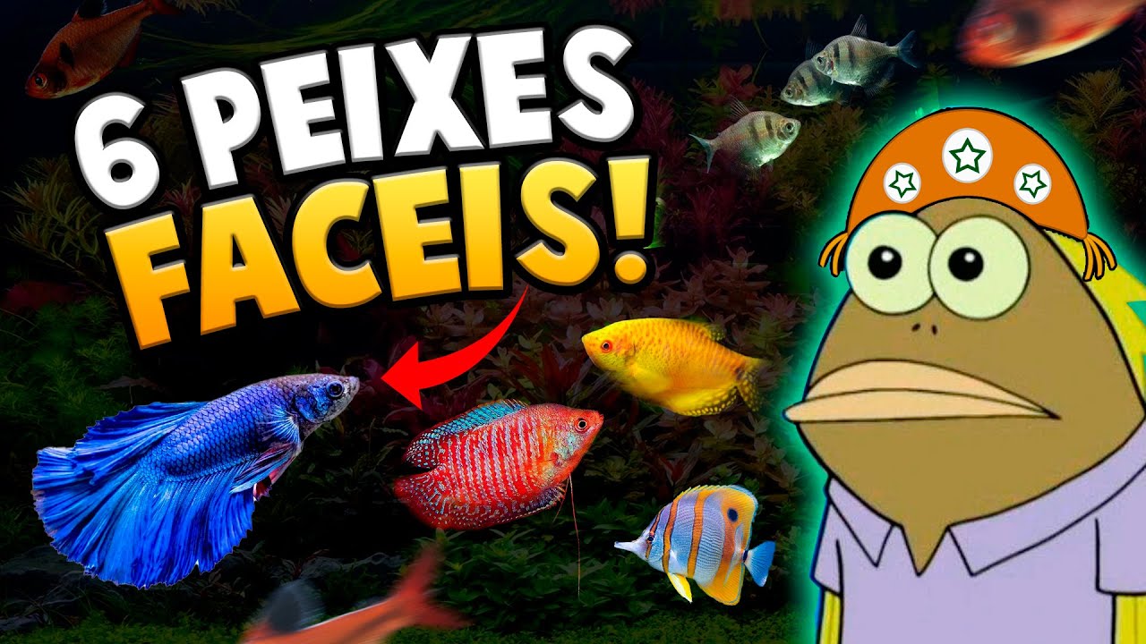 6 Peixes mais Fáceis e Resistentes para Começar no Aquarismo