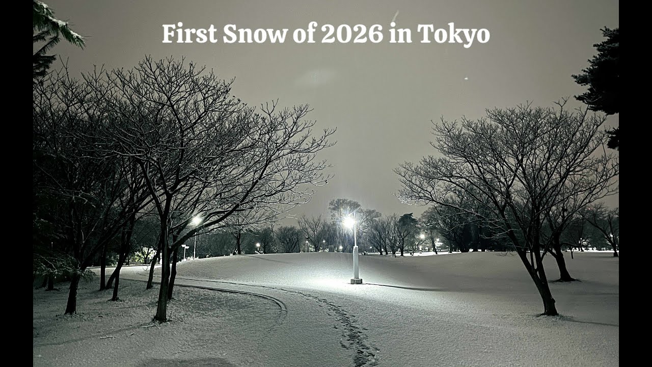 Tokyo Welcomes the First Snow of 2026 #snowfall #tokyo #snowintokyo #snow2026