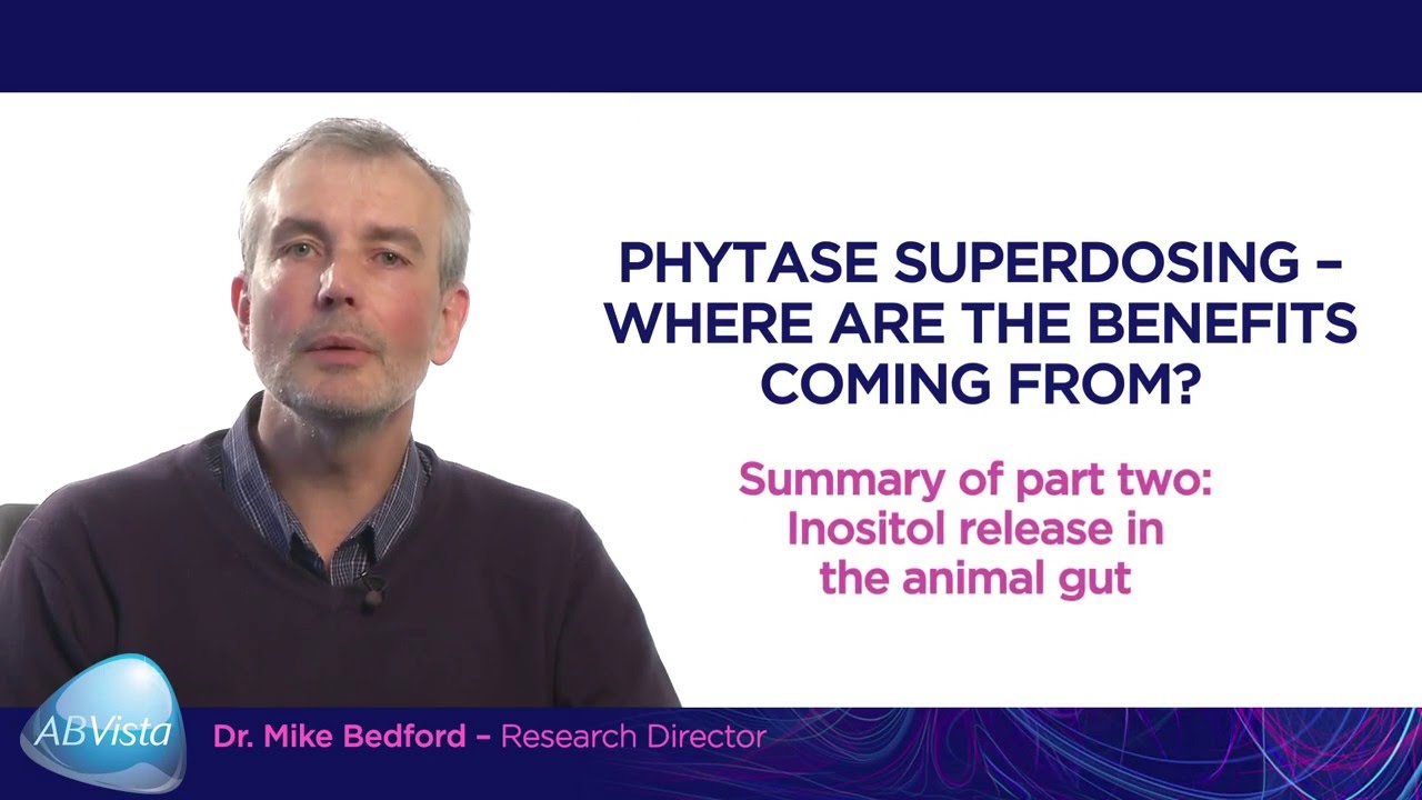 SUMMARY - Superdosing - Part 2: Inositol release in the animal gut