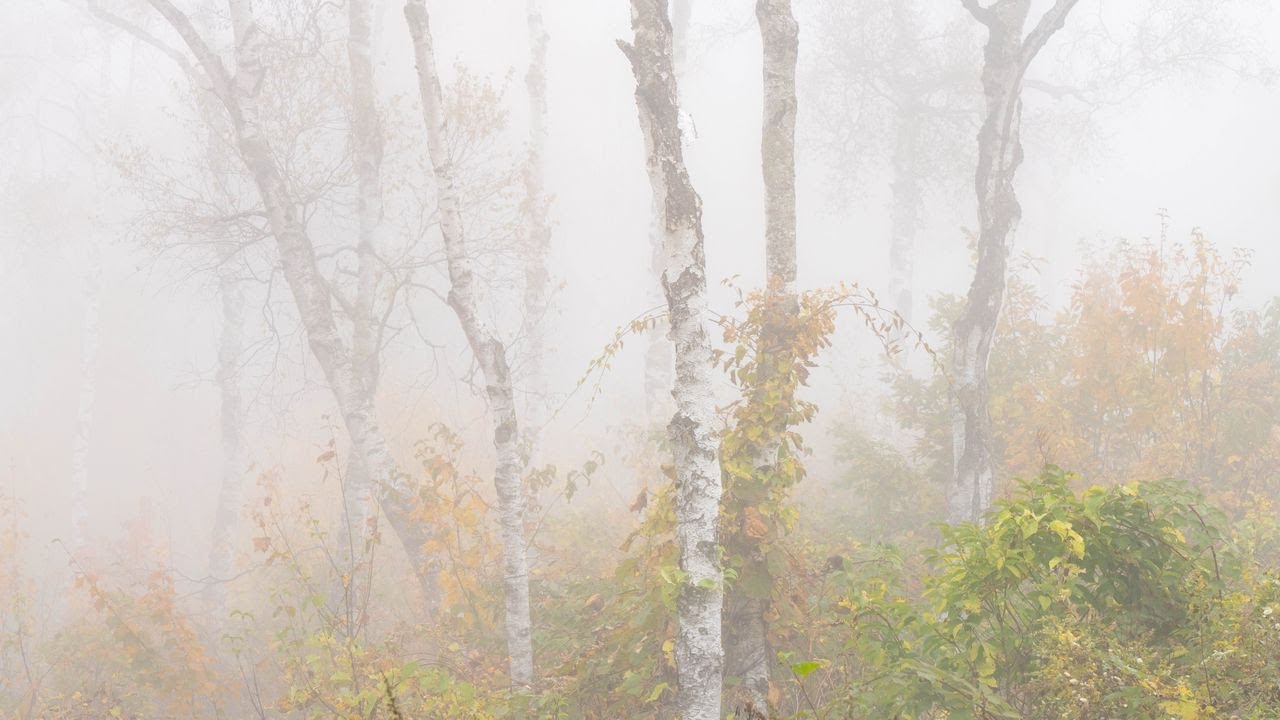 Changing of the Seasons Part 2    移りゆく季節