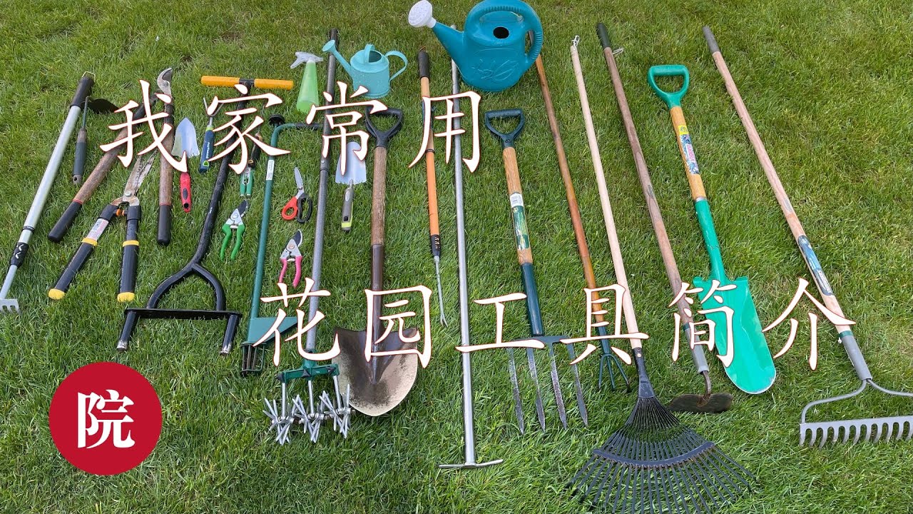 【彬彬有院】种•585我家常用花园工具简介