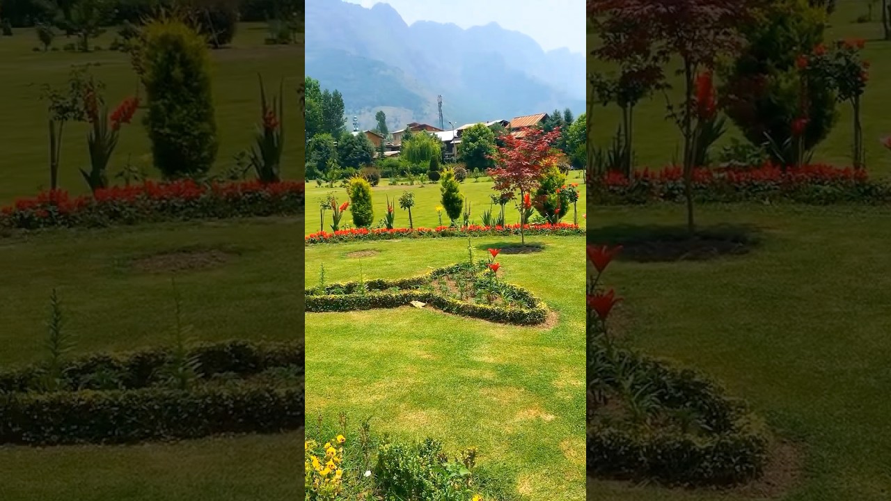 #kashmir #sonmarg #travel #trekking #view #beauty #amazing #beautiful #shorts #viralshorts