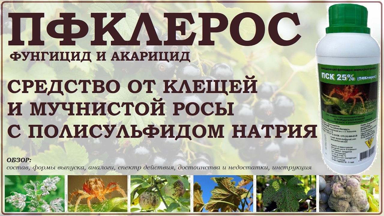 ПФКлерос  - серосодержащее средство от клещей и мучнистой росы. Обзор фунгицида и акарицида