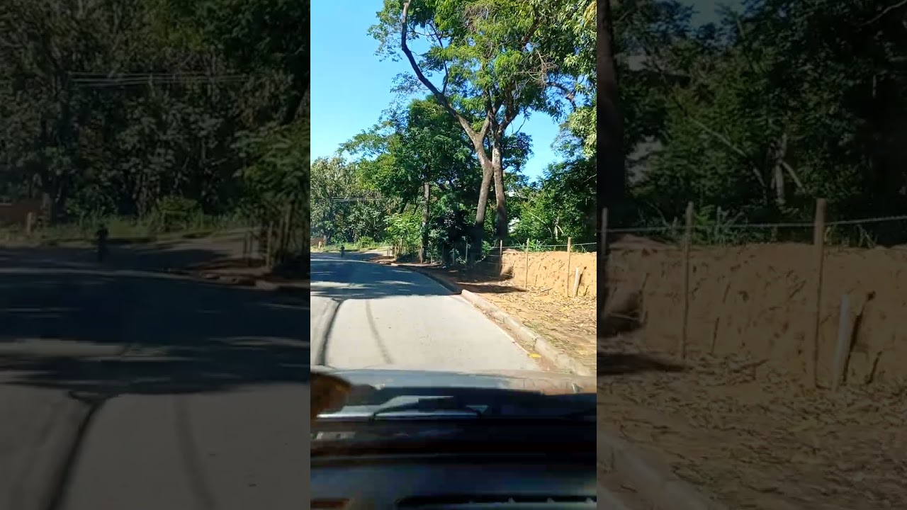 12 de janeiro de 2026