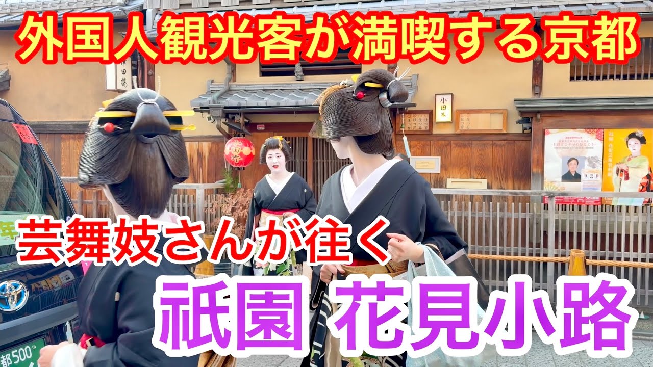 2026年1月7日 【外国人観光客が満喫する京都】芸舞妓さんが往く祇園花見小路を歩く Walking along Hanamikoji in Gion, Kyoto