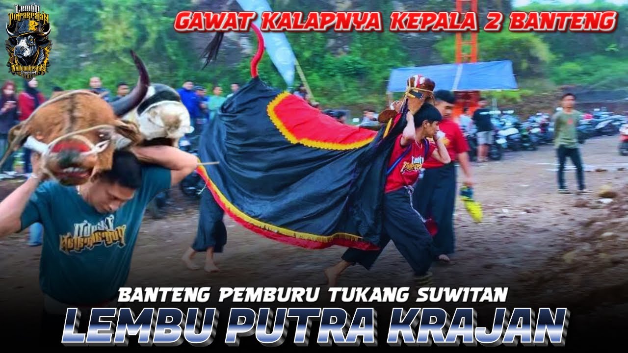 Demit Bantengan Ngamok‼️LEMBU PUTRA KRAJAN Edisi Mberot Keluar Kalangan,,