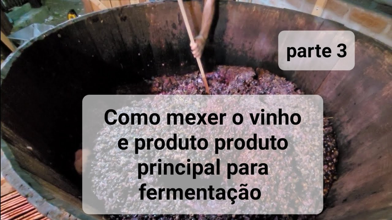 segredo de como mexer o vinho no processo de fermentação e o conservante principal - parte 3