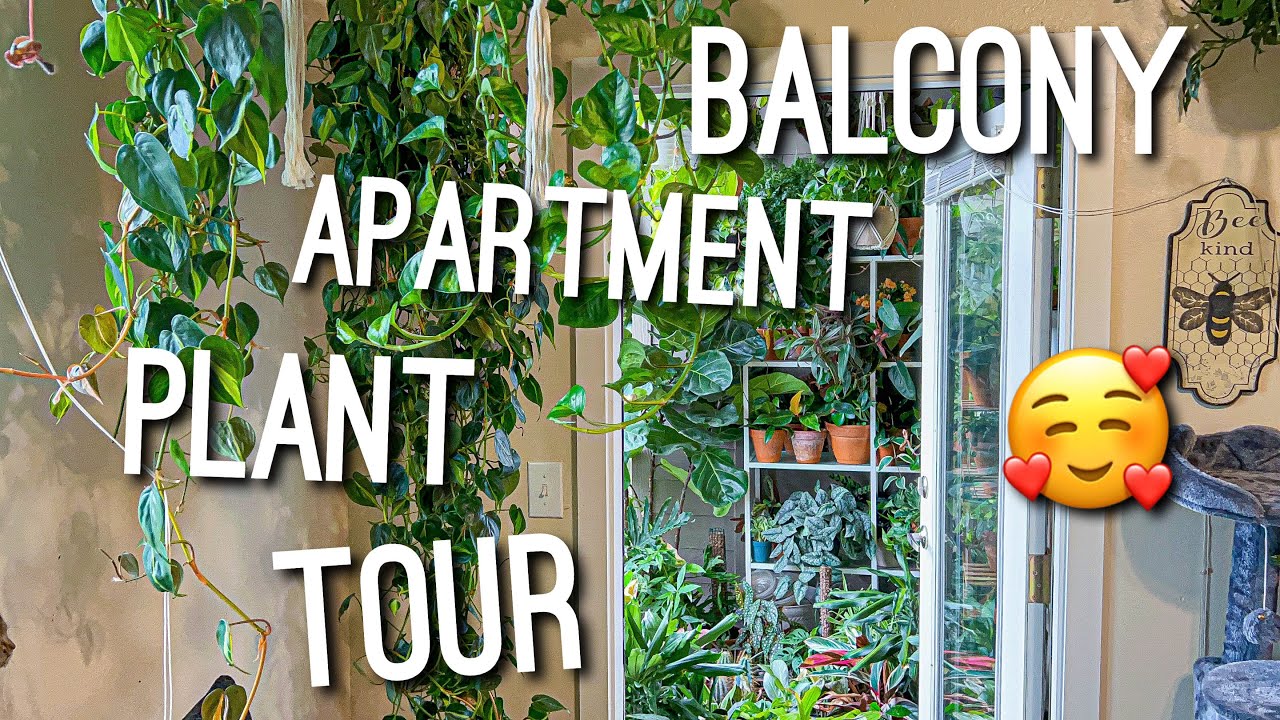 Balcony Apartment Plant Tour April 2022 Spring | A mini Jungle in a Apartment Setting! 🪴✨