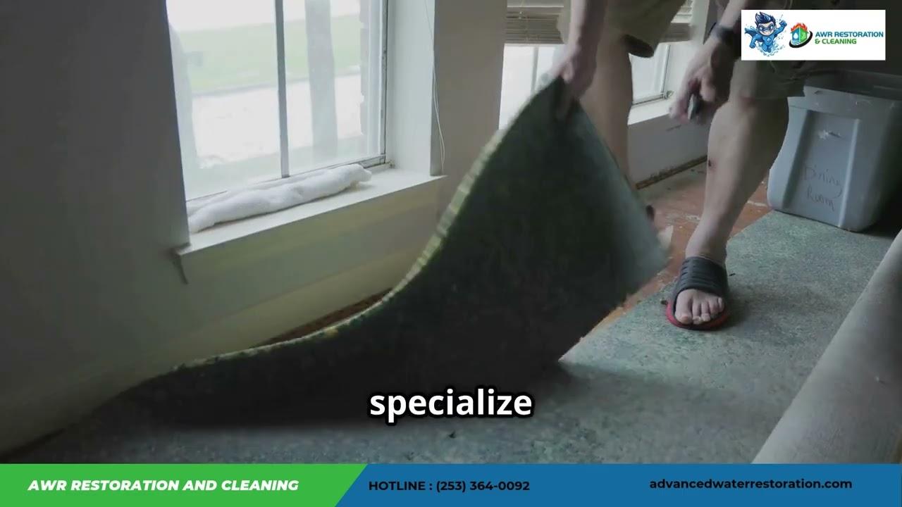 Hidden Water Damage? Know the Signs Before It&rsquo;s Too Late!