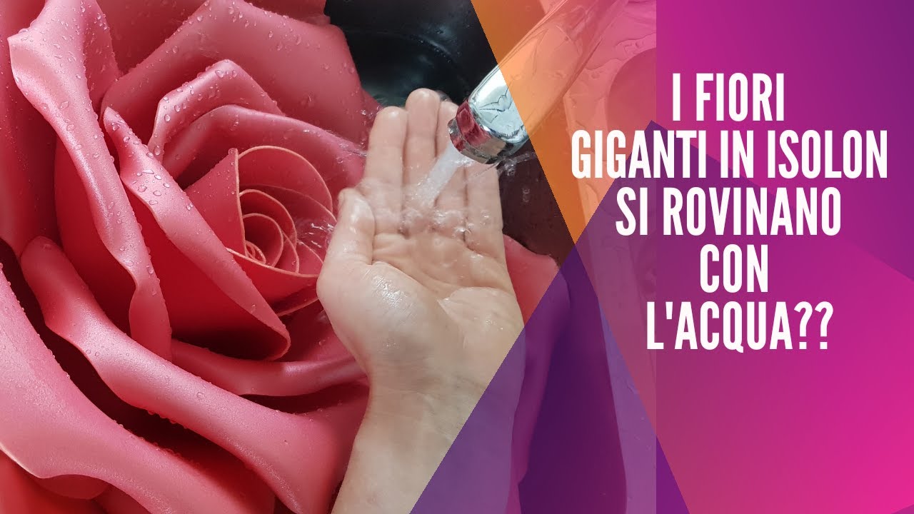 Come pulire i fiori giganti in Isolon?