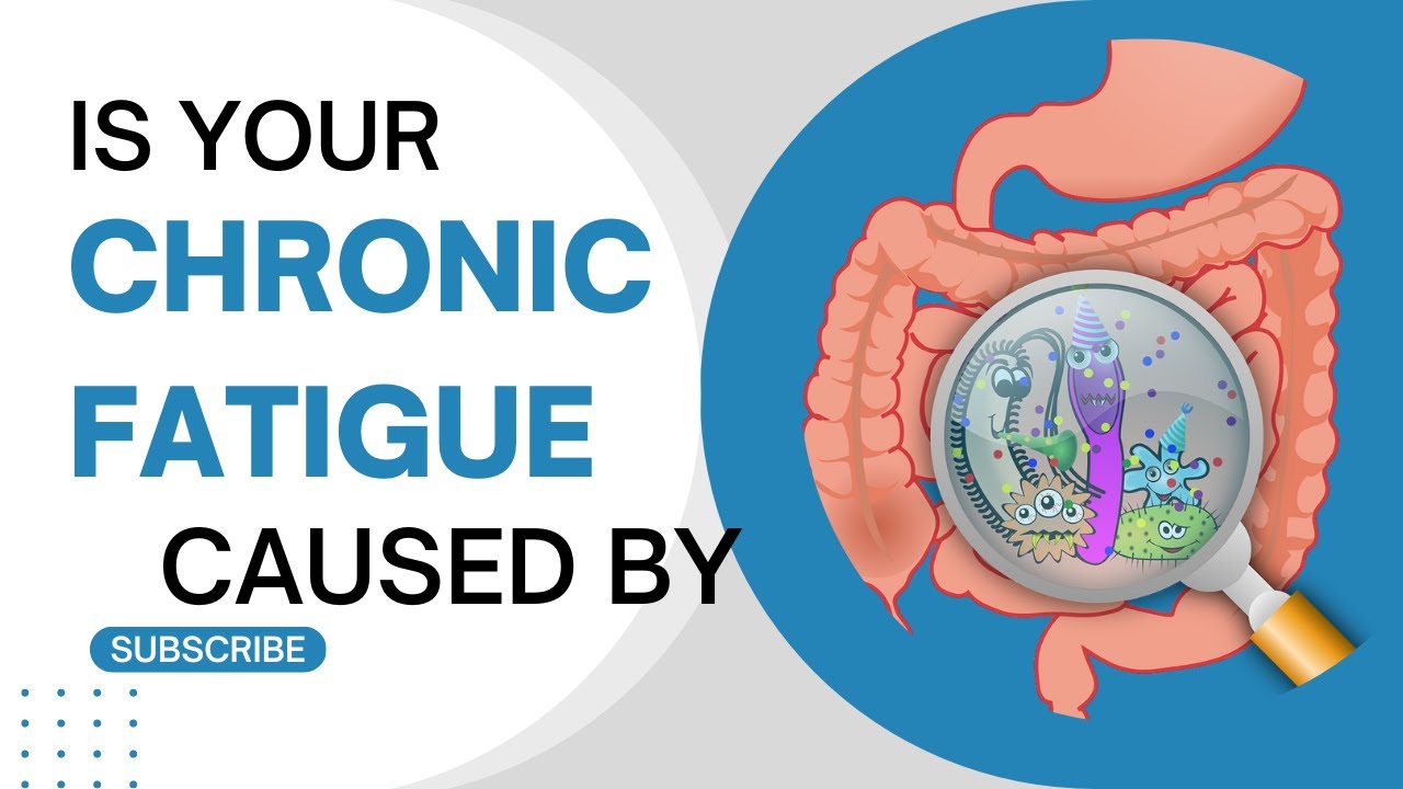 Chronic Fatigue Syndrome and Your Gut 🦠