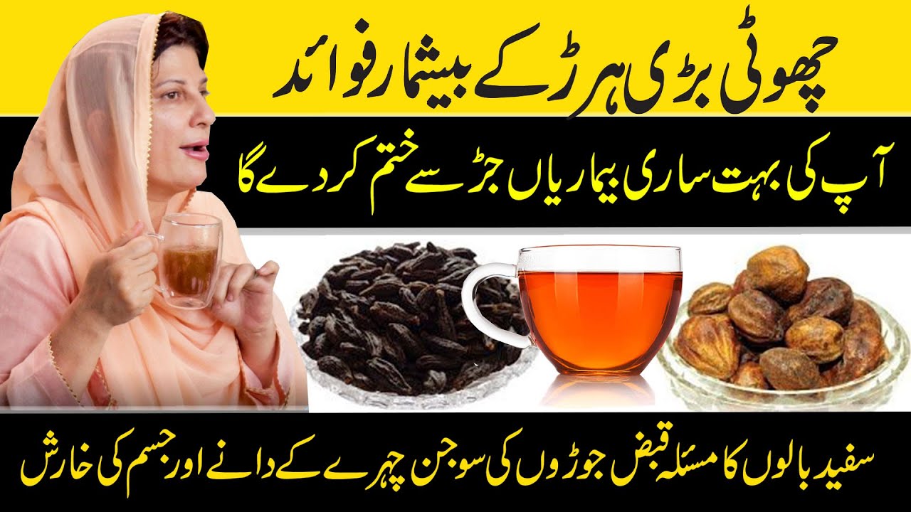 Choti Badi Harad ke Fayde | Haridki Benefits in Urdu | Dr. Bilquis sheikh (Herbalist)