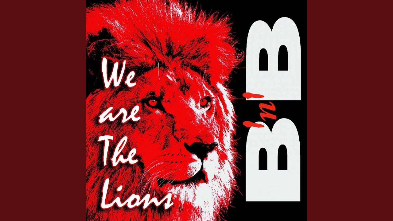 We Are The Lions