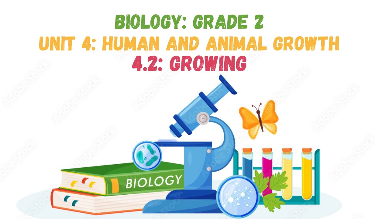 4.2: GROWING