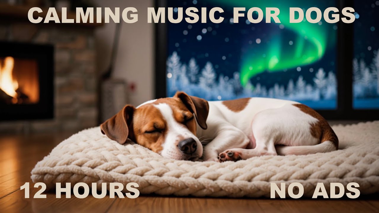 12 HOURS 🐶❄️ Cozy Winter Dog Sleep with Aurora Borealis Outside Awareness