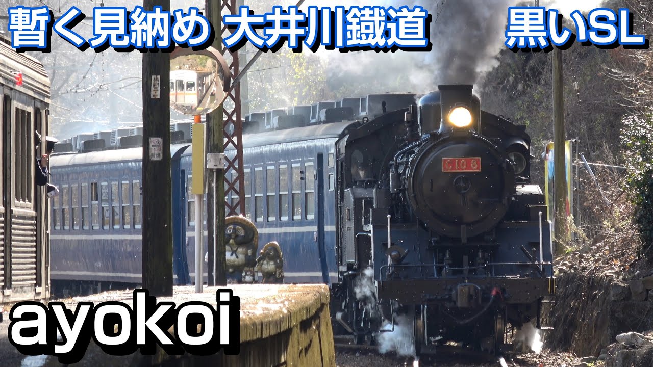暫く見納め 大井川鉄道 黒いSL C10形8号機 12系客車牽引