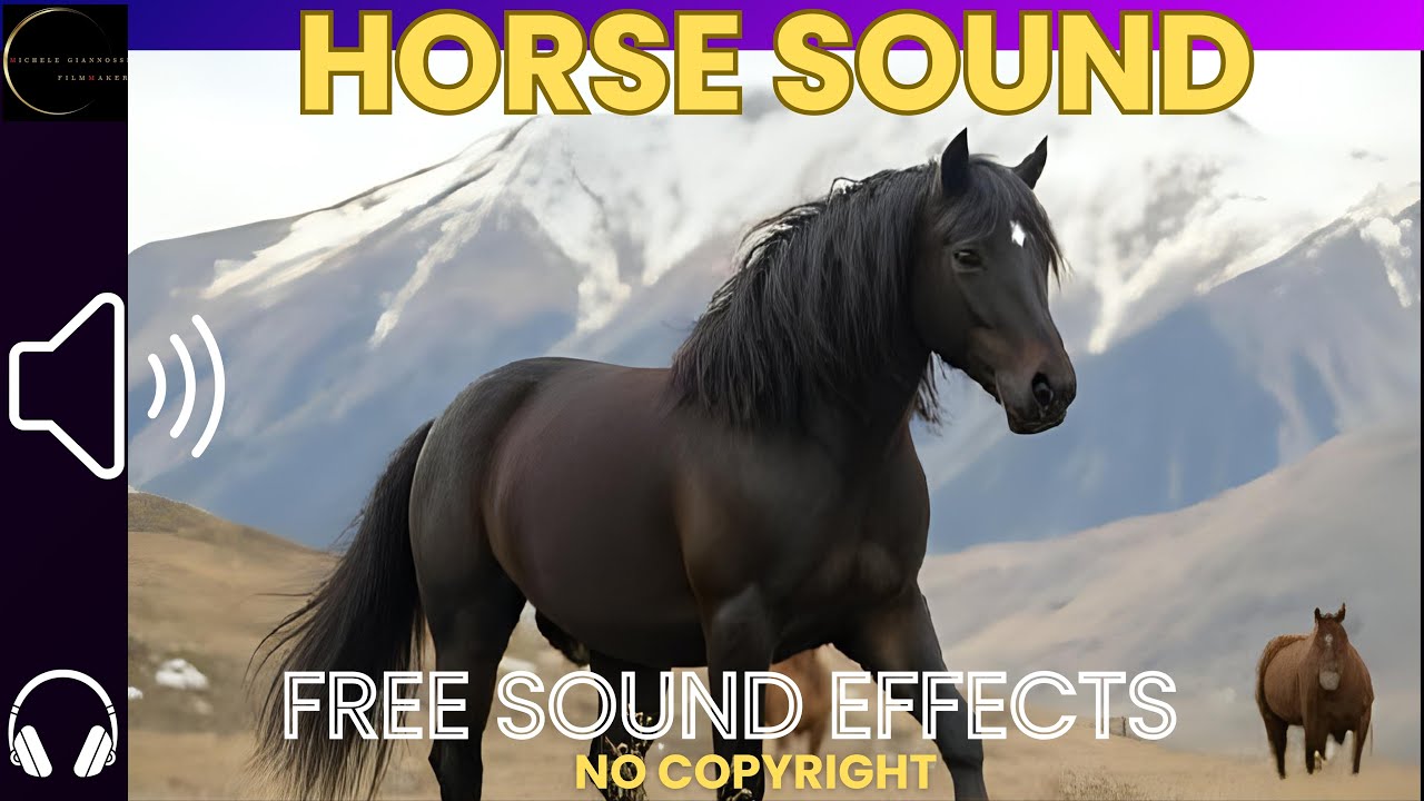 HORSE SOUND EFFECT - 20 SOUNDS - #horse #horsesounds #freesoundeffects  #effettisonori #sound #foley