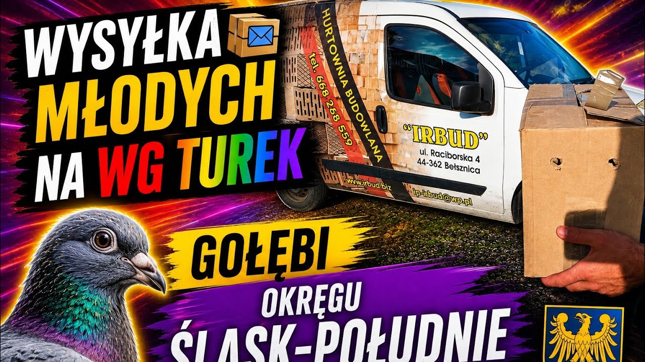 Wysyłka młodych na WG TUREK gołębi okręgu Śląsk-Południe. 