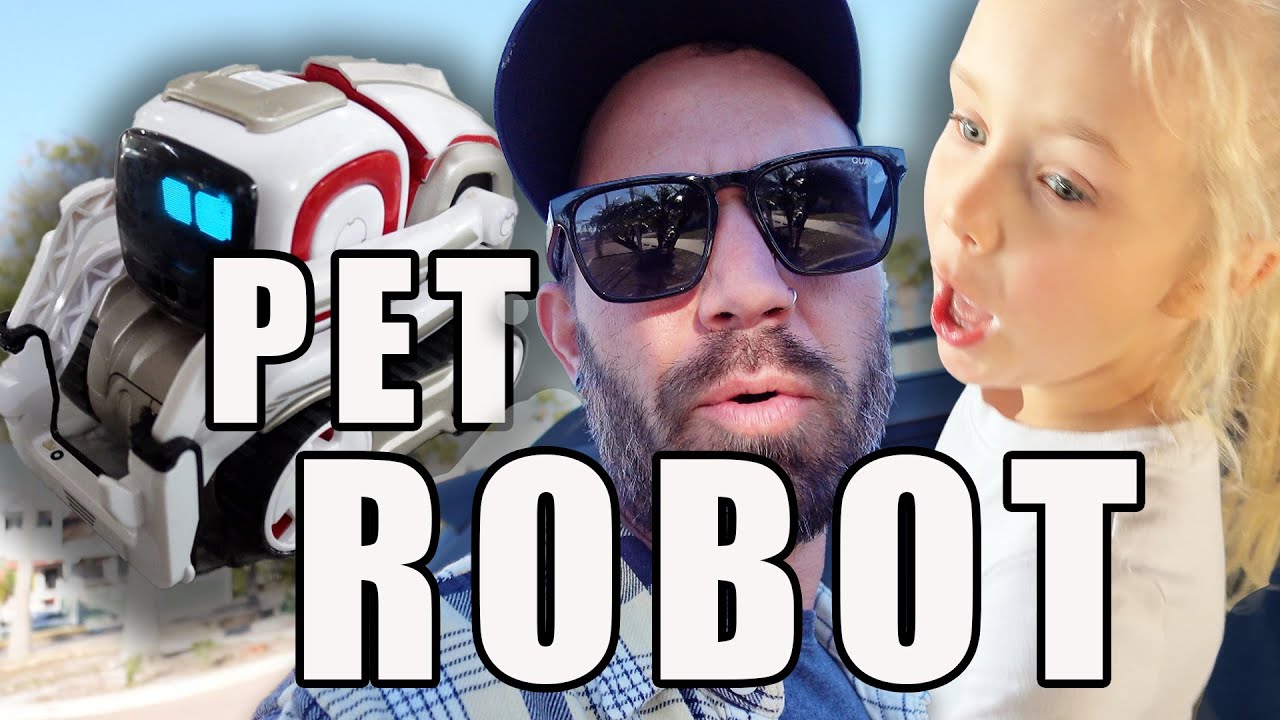 Our Pet ROBOT