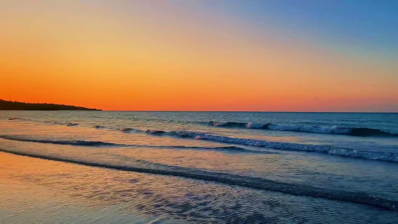 LIVE Quiet Beach Night 🌙 Deep Sleep Ocean Noise (No Talking)