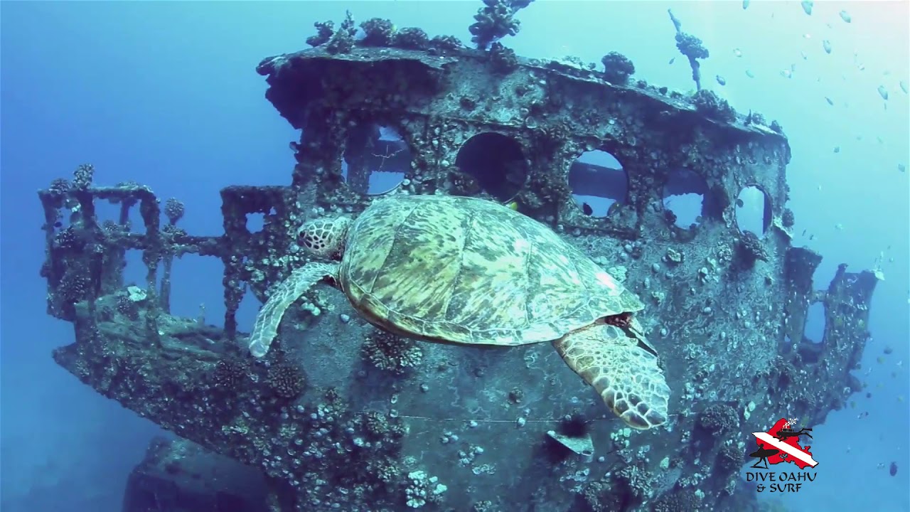 Dive Oahu Signature Dive YO&zwnj;-257