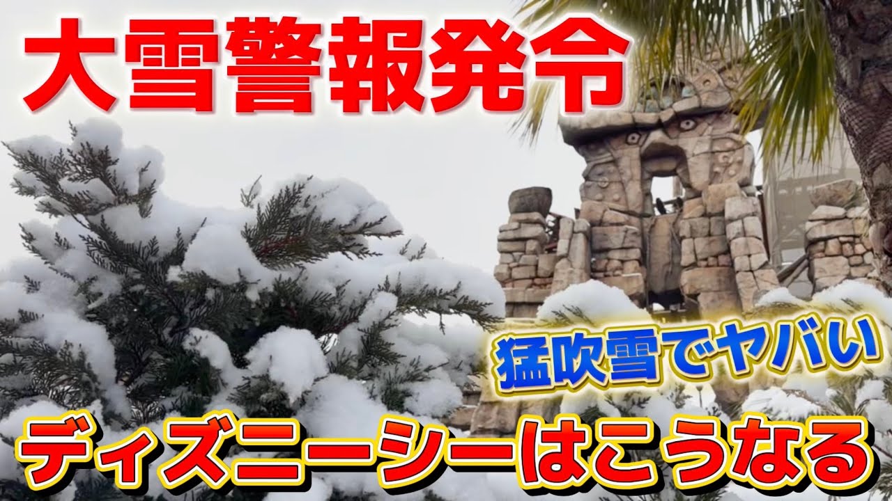 【猛吹雪】大雪警報のディズニーシーに行ってみたら、凄い事になってました【エグすぎ】