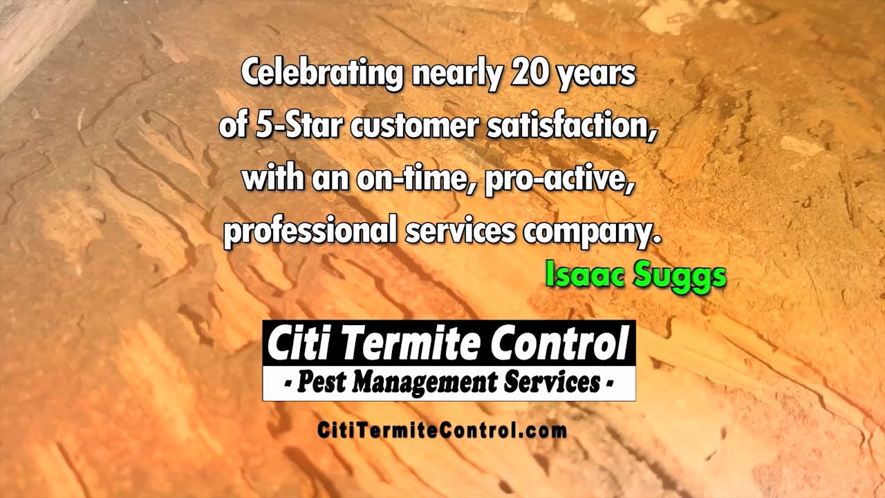 Termite Company Reviews