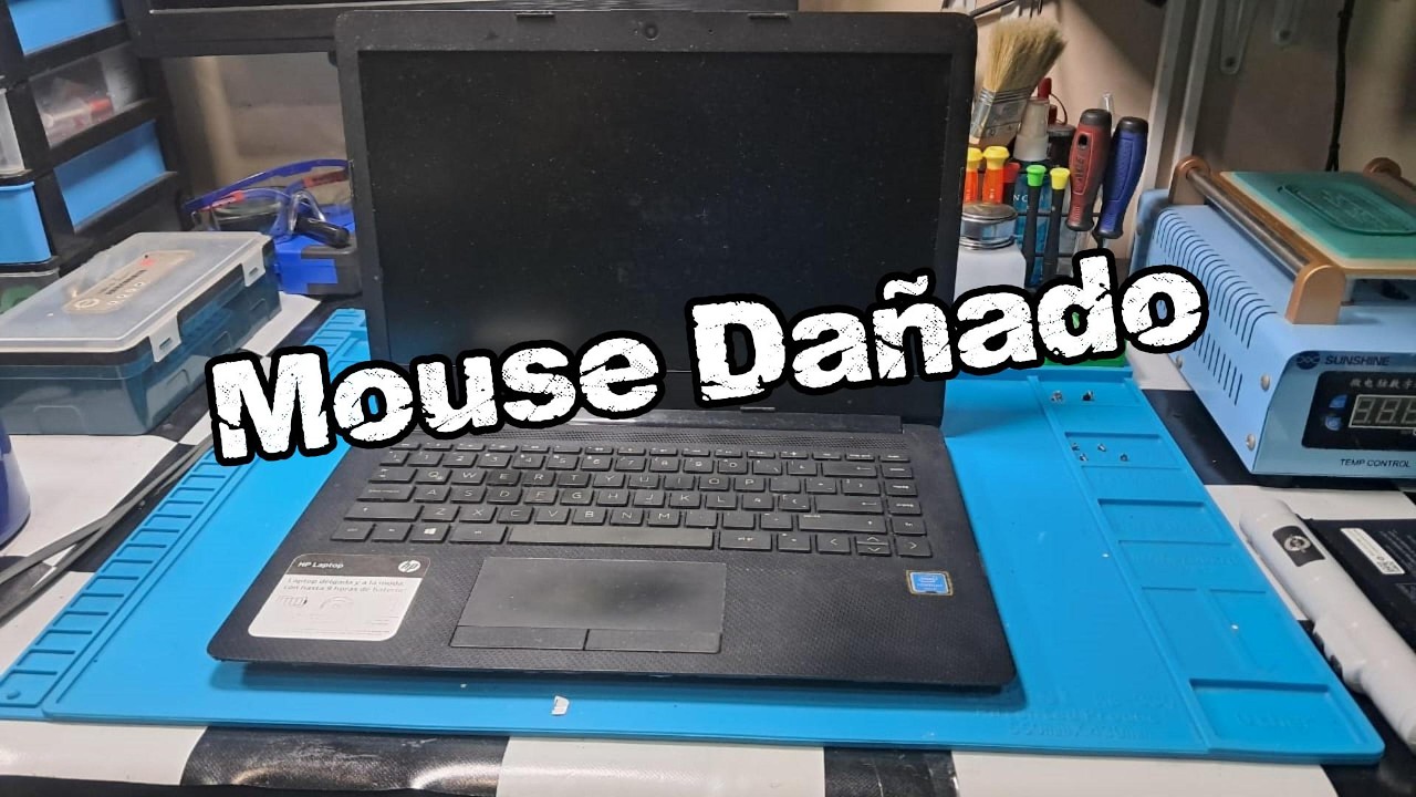 Mouse Laptop HP Dañado