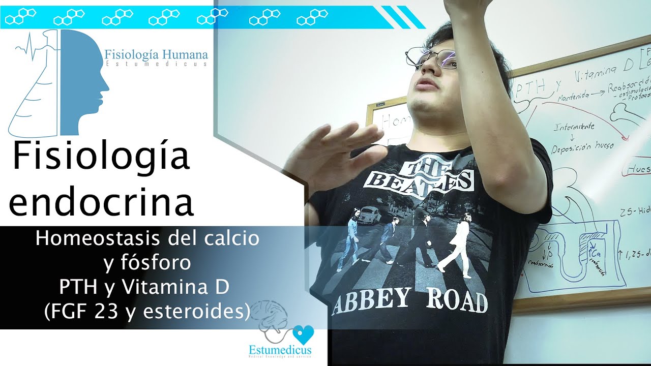 Homeostasis del calcio y del fósforo: PTH y Vitamina D (FGF 23 y esteroides) | Fisiología humana
