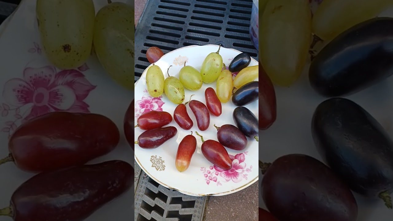 Найсмачніший виноград для душі