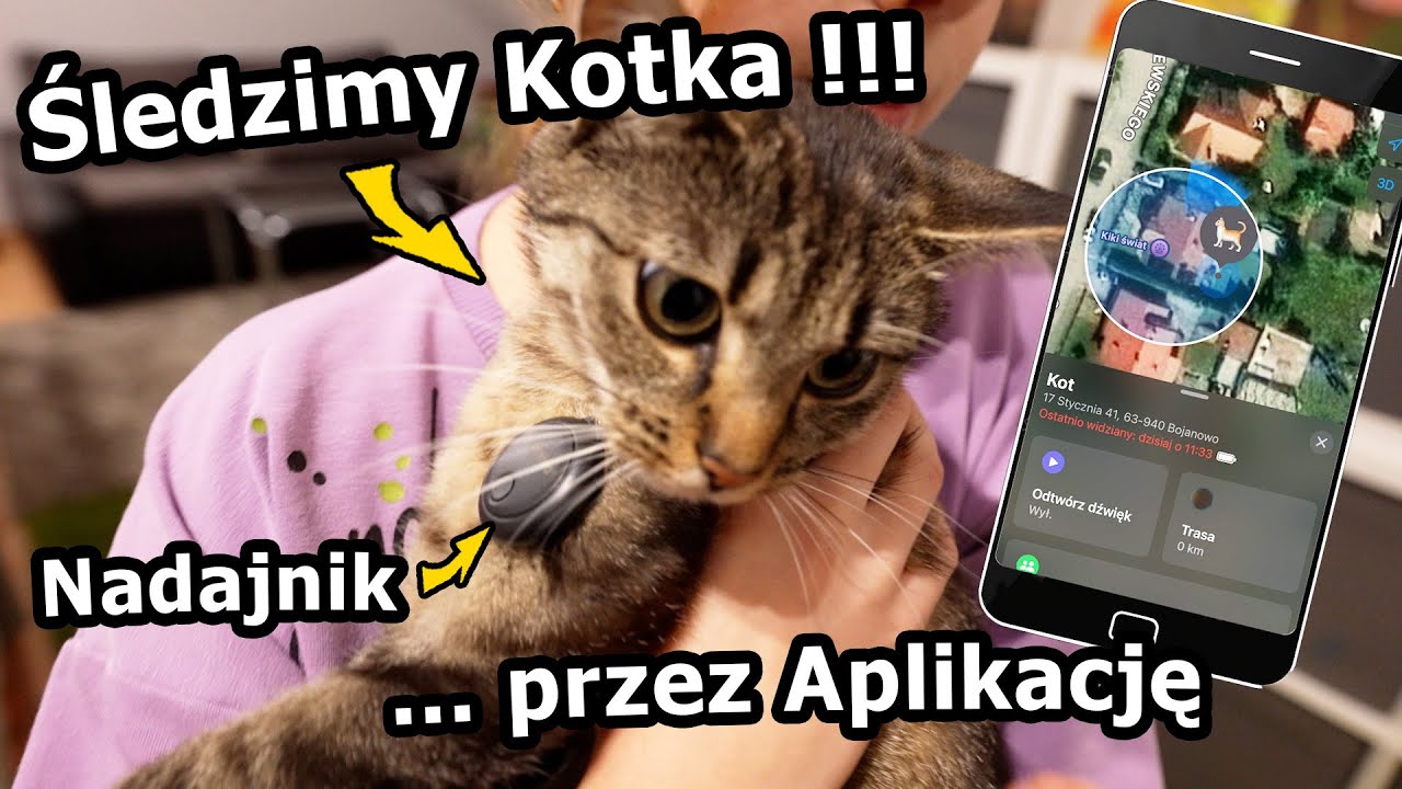 Pakuję się do Egiptu! - Kupiliśmy Kotu nadajnik śledzący! Jak działa? *Zmywarka, Hub i Lot (#1104)