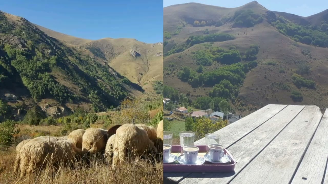 GÜMÜŞHANE UĞURTAŞI (İstavri) 🇹🇷