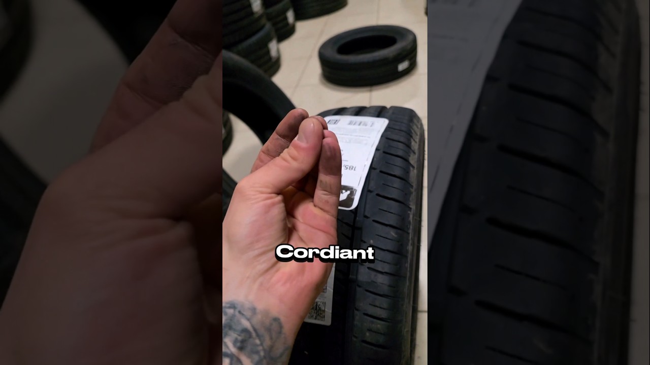 GISLAVED это Continental или это Bridgestone? / История модели EcoControl (Bridgestone Ecopia EP300)