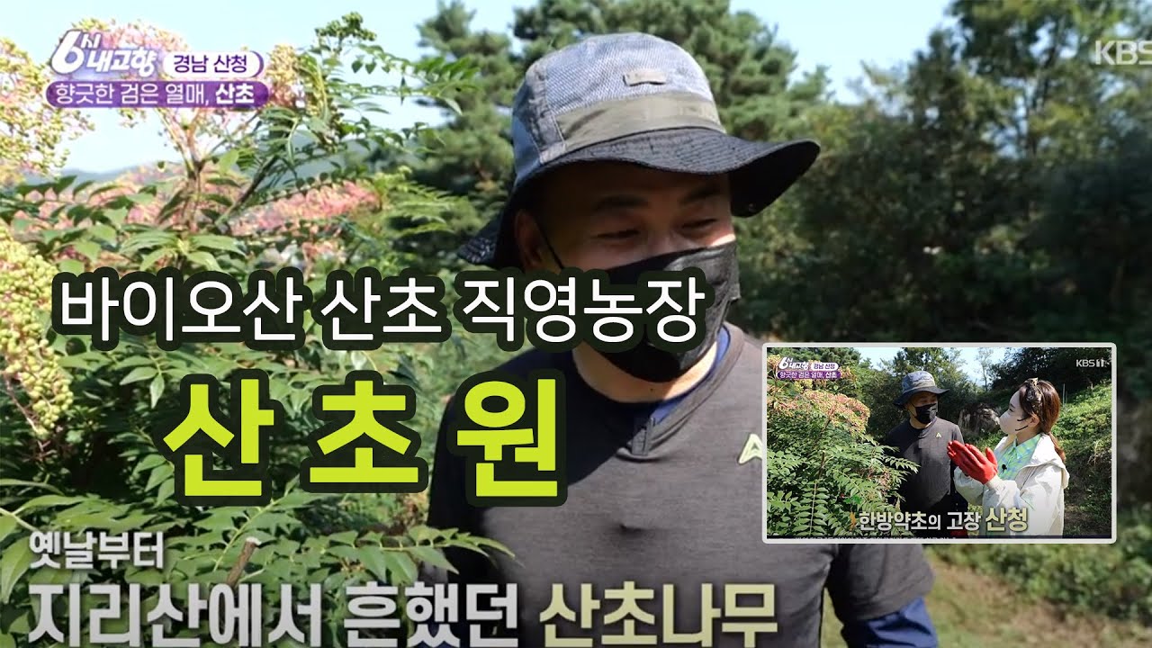 바이오산 산초재배 직영농장 