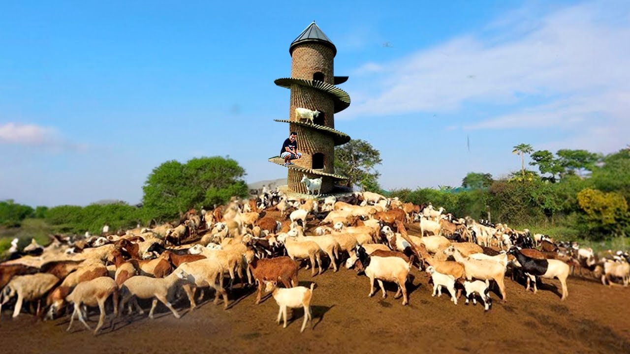 Raising Goats on a Sustainable Backyard Farm: Why don't you need a big land to raise goats?