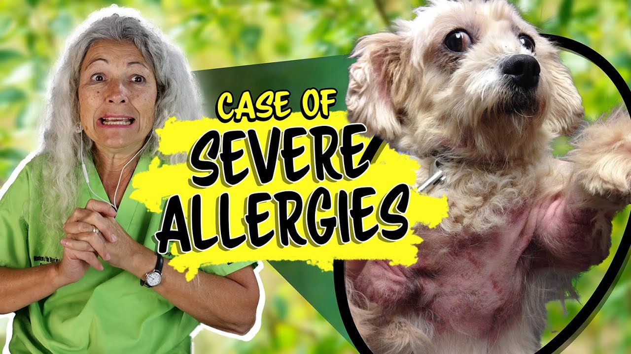 Chronic Allergies Healed with Diet Change