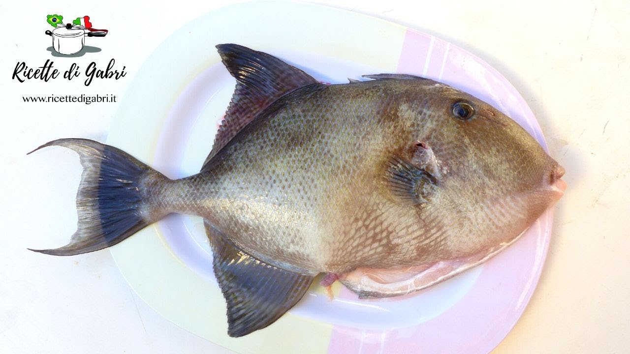 RICETTA PESCE BALESTRA : Pesce porco mostruosamente buono! - RICETTE DI GABRI