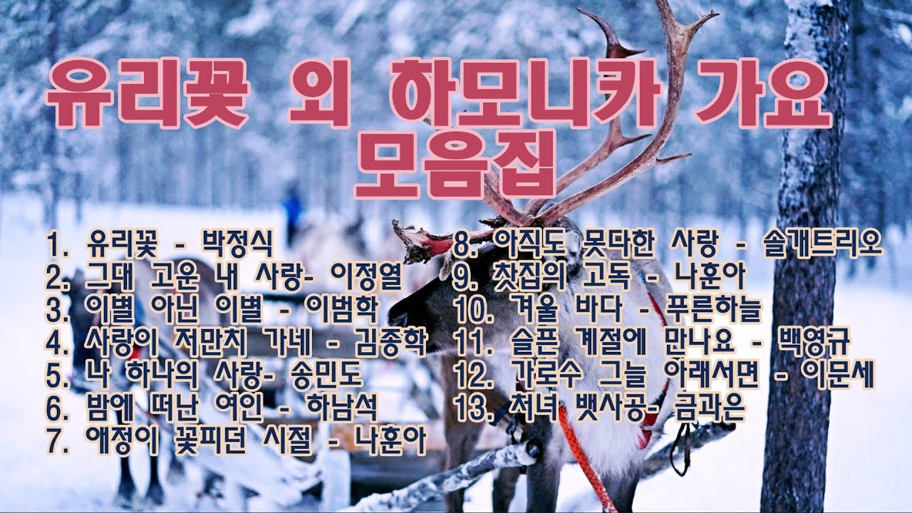 김윤 하모니카 연주곡 유리꽃 외 12곡 / 가요
