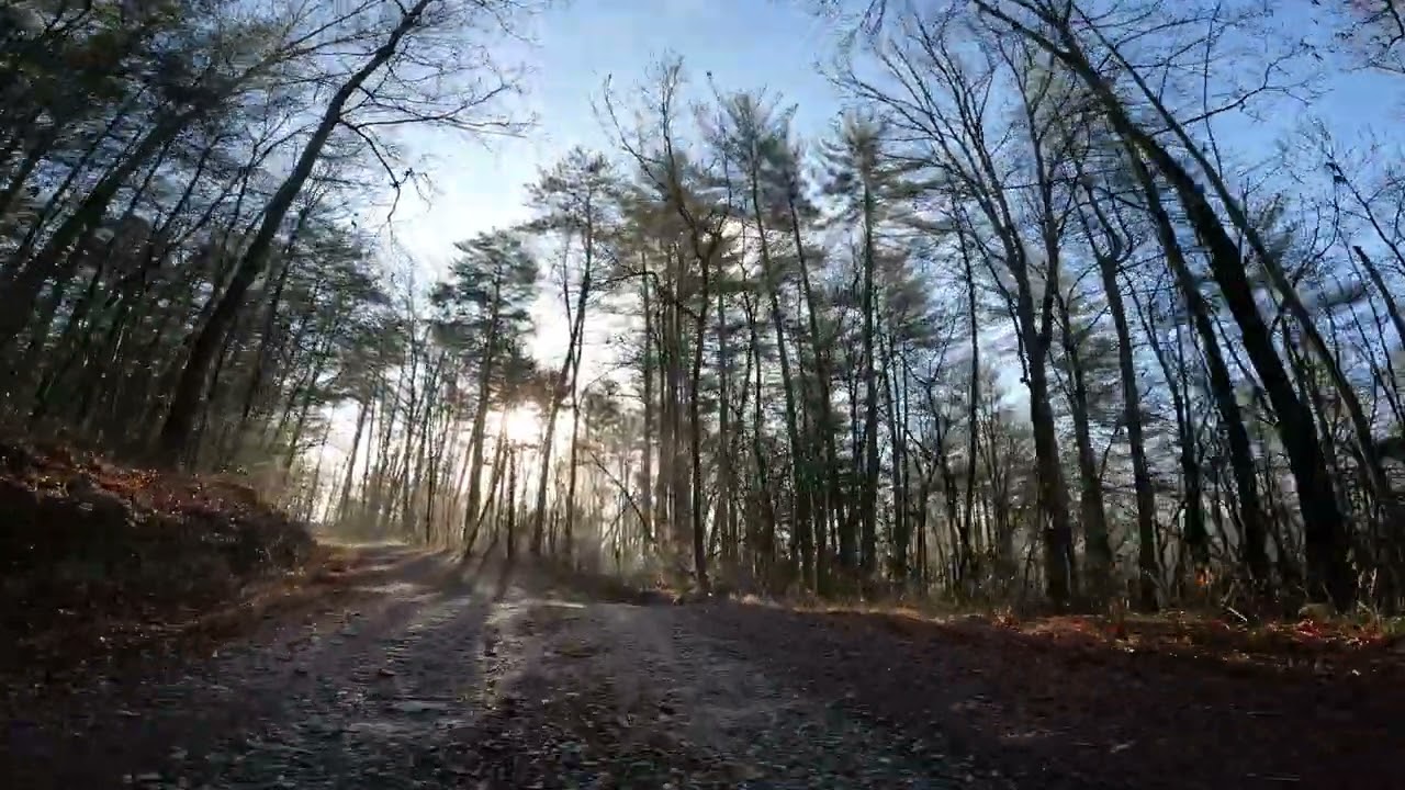 Wildcat Campground Road, Dawson Forest WMA, GA &ndash; 2022 &ndash; GoPro 4K