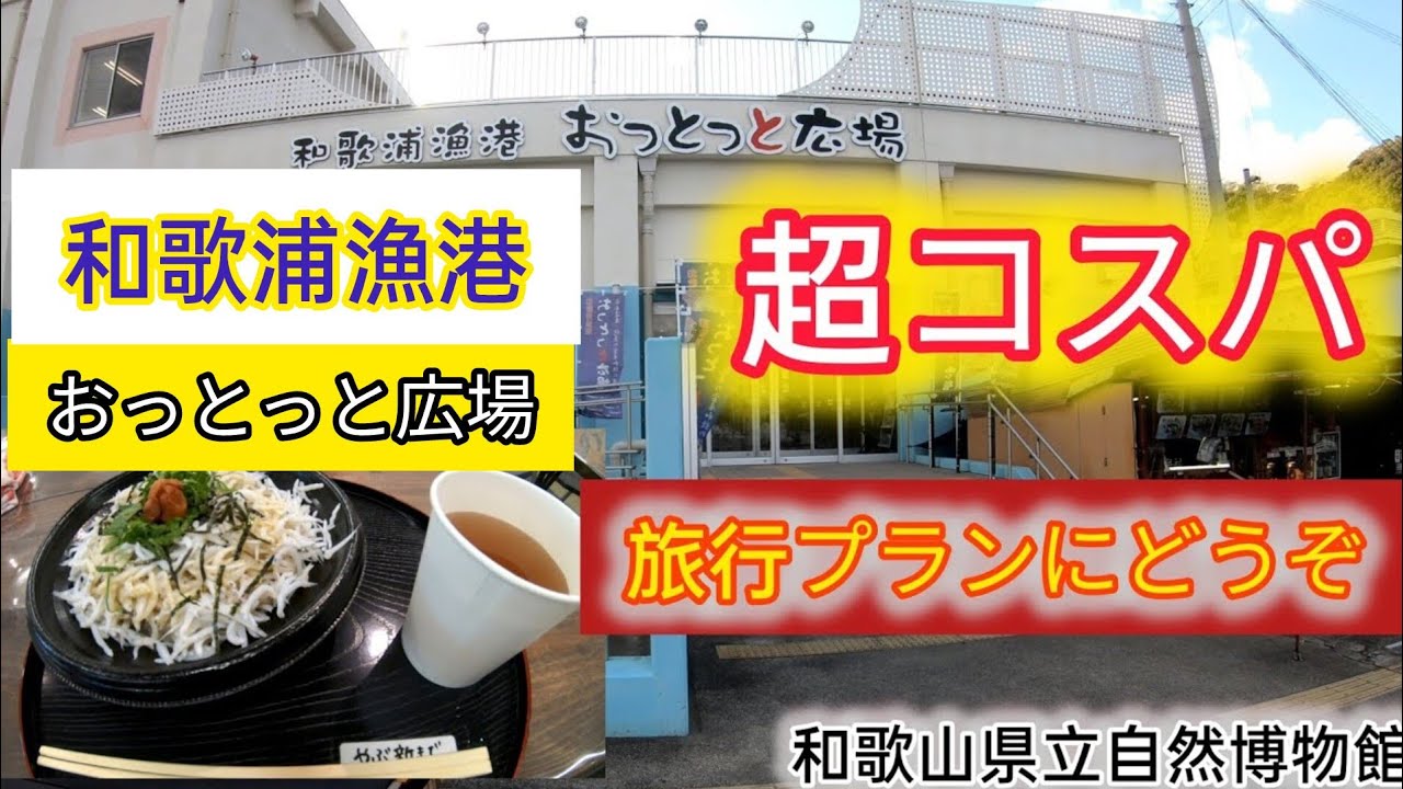 【超コスパ（Super cospa）】和歌浦漁港【おっとっと広場】と自然博物館！！釣りチルの土日、ルーティン（イクメン）【4k動画】