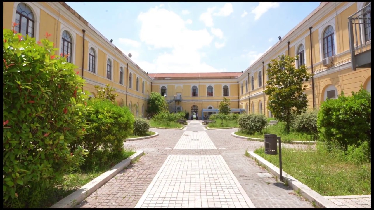 L'Università di Foggia: strutture, eventi e riconoscimenti