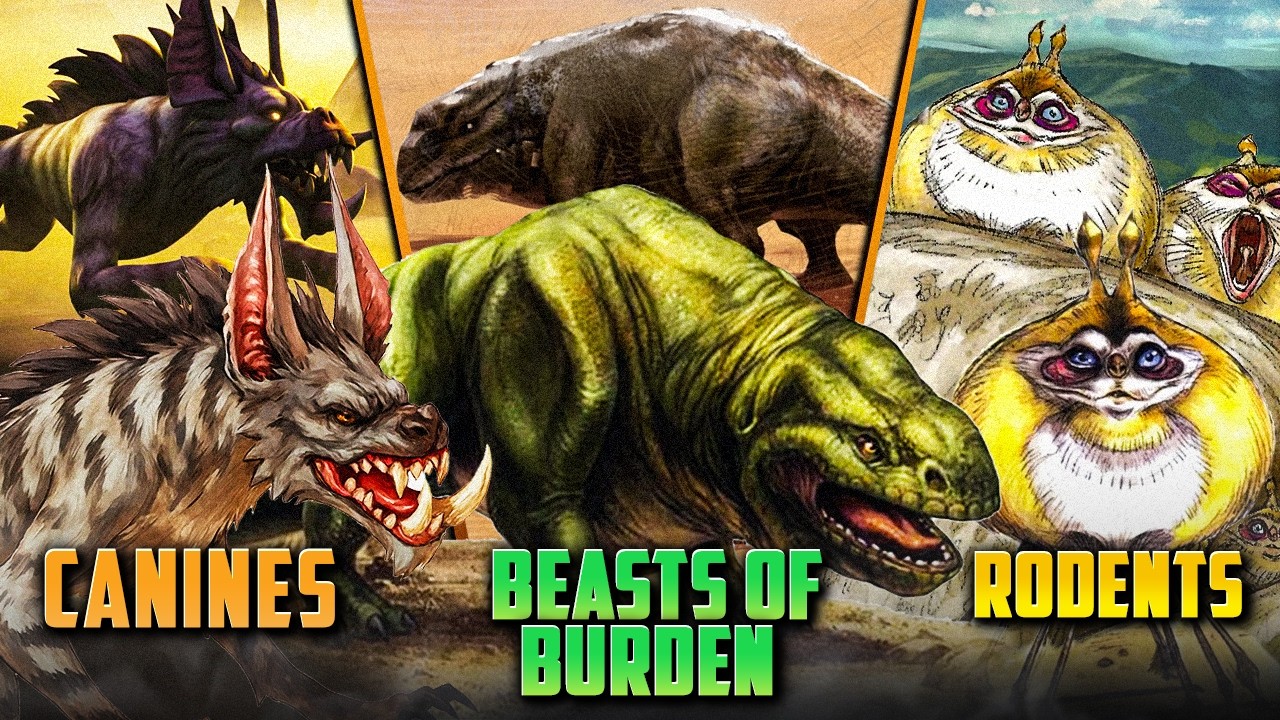 The Pets of Star Wars Explained