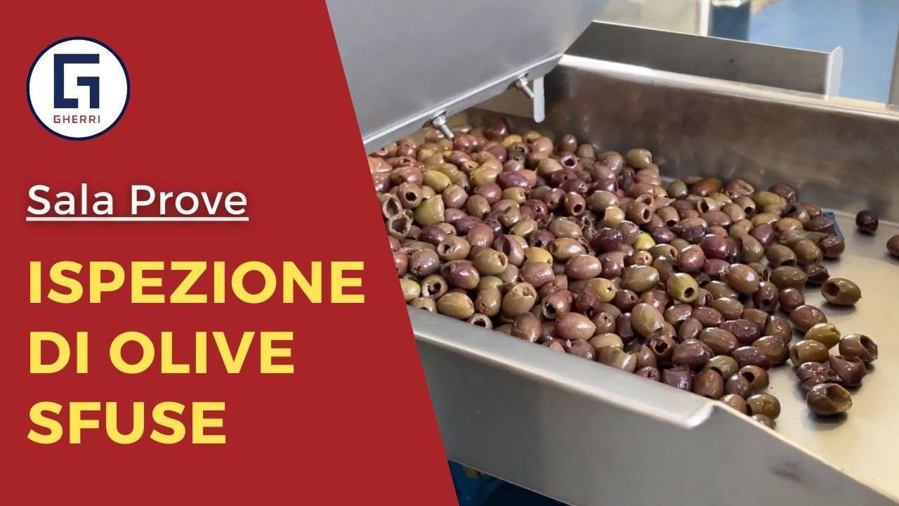 Ispezione di Olive Sfuse | Sistema a Raggi X RaymanTech | Sala Prove Gherri