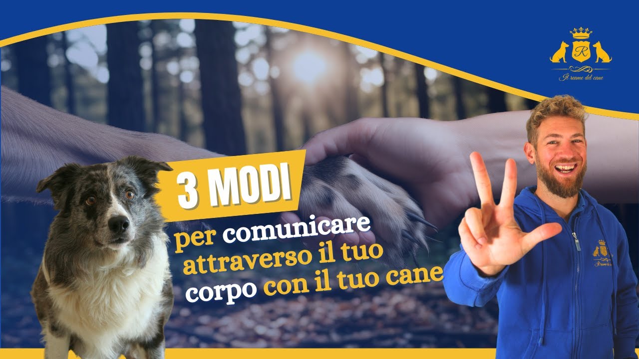 3 modi per comunicare attraverso il tuo corpo con il tuo cane