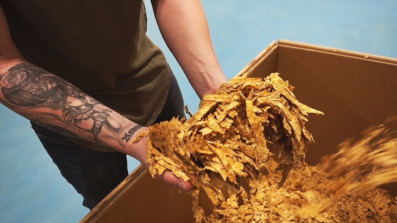 Wie wird Shisha Tabak hergestellt? - Shisha Tabak Herstellung in S&uuml;damerika